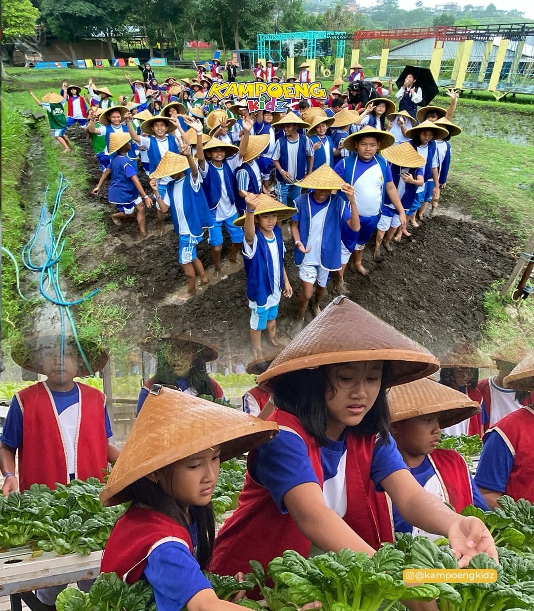 Wisata Edukasi Anak di Kota Batu yang Bikin Betah! Serunya Belajar Sambil Bermain di Kampoeng Kidz